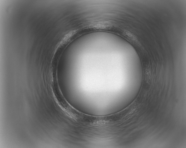 X0000054370734200508191846