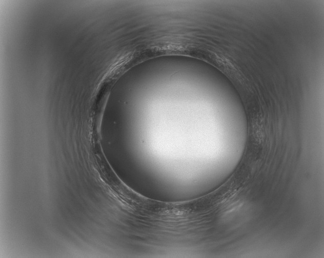 X0000054370735200508191846