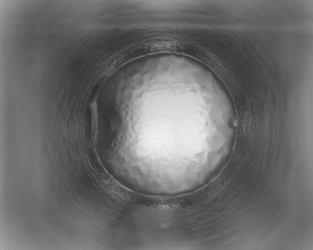 X0000054370737200508191846