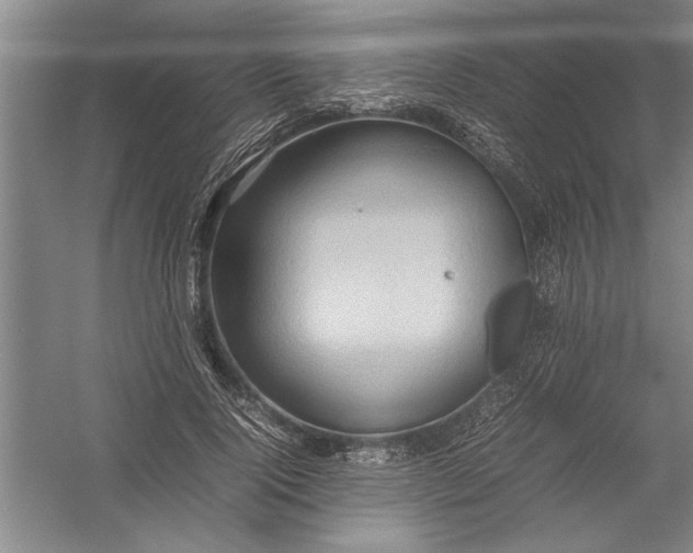 X0000054370740200508191846