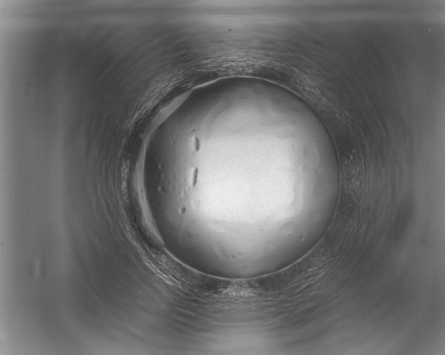 X0000054370742200508191846