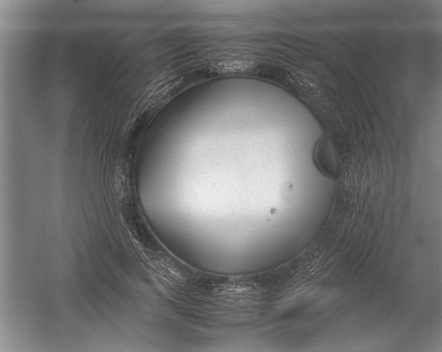 X0000054370743200508191846