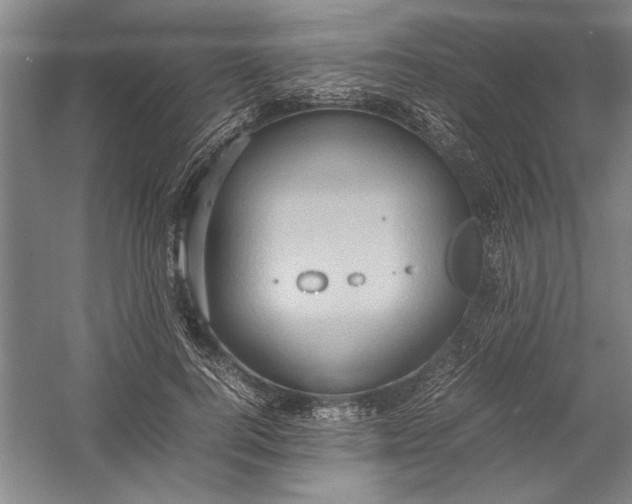 X0000054370744200508191846