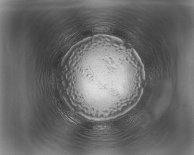 X0000054370745200508191846