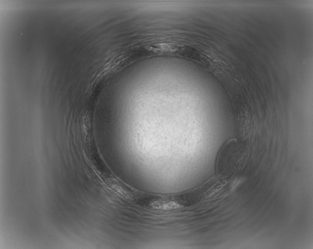 X0000054370747200508191846