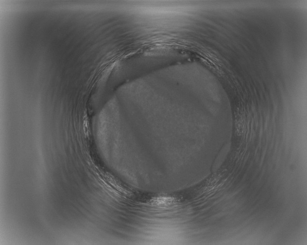 X0000054370748200508191846