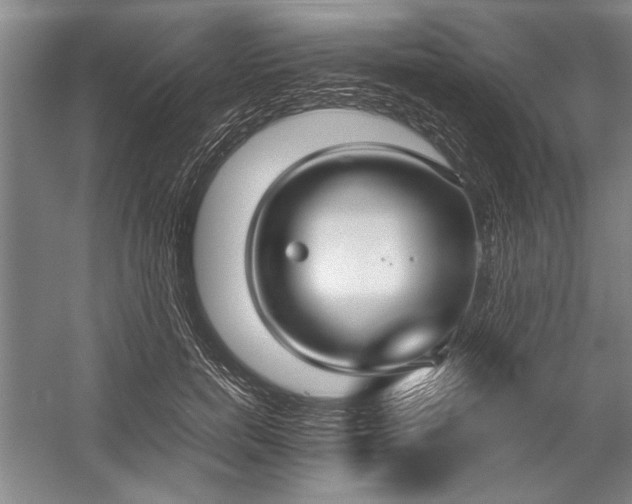 X0000054370750200508191846