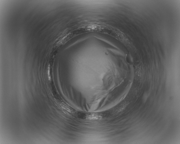 X0000054370754200508191846