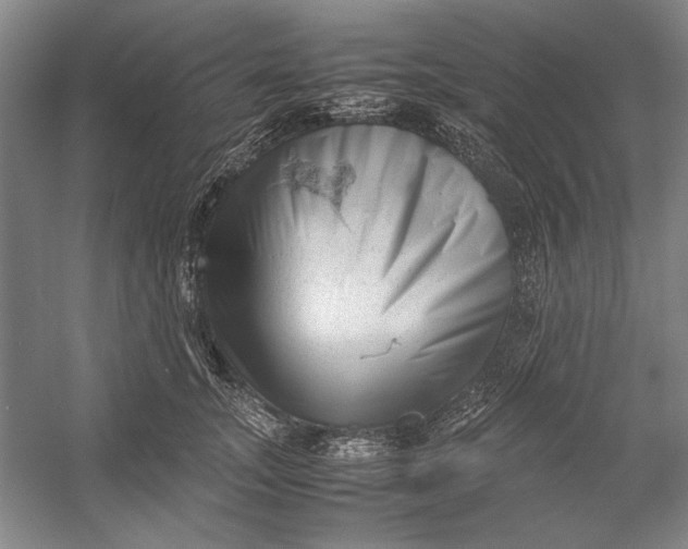 X0000054370755200508191846