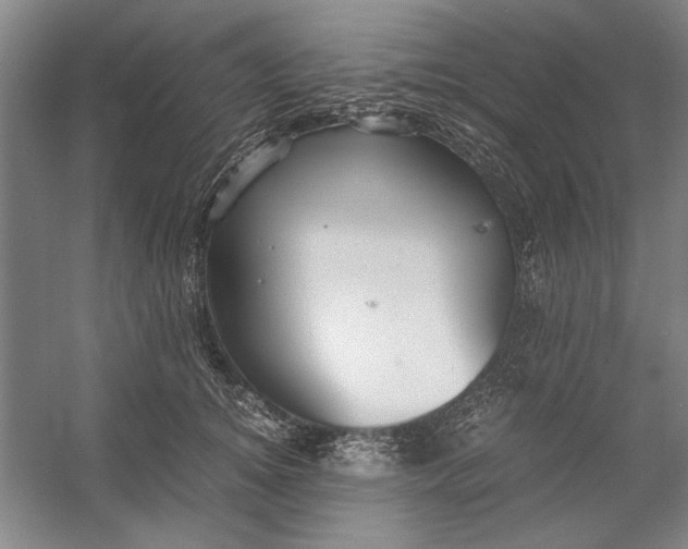 X0000054370756200508191846