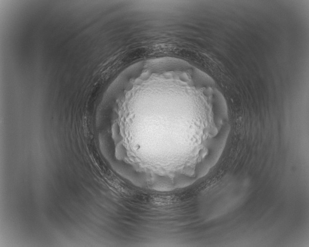 X0000054370757200508191846