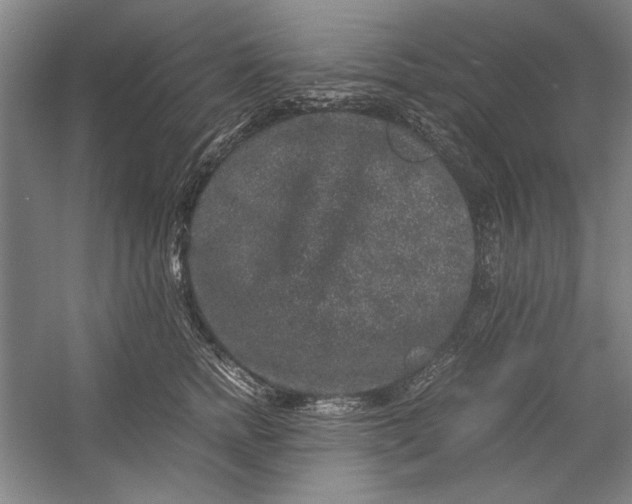 X0000054370758200508191846