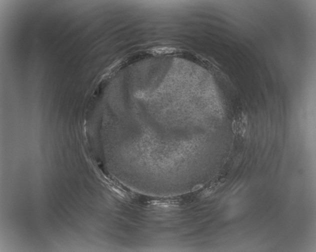 X0000054370763200508191846