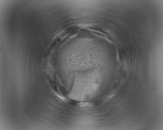 X0000054370766200508191846