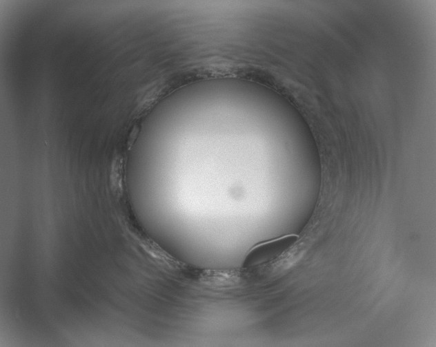 X0000054370768200508191846