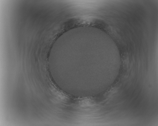 X0000054370769200508191845