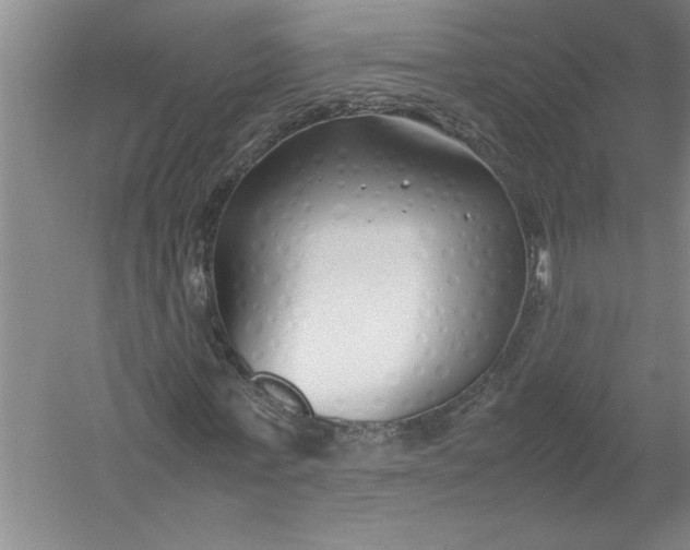 X0000054370771200508191845