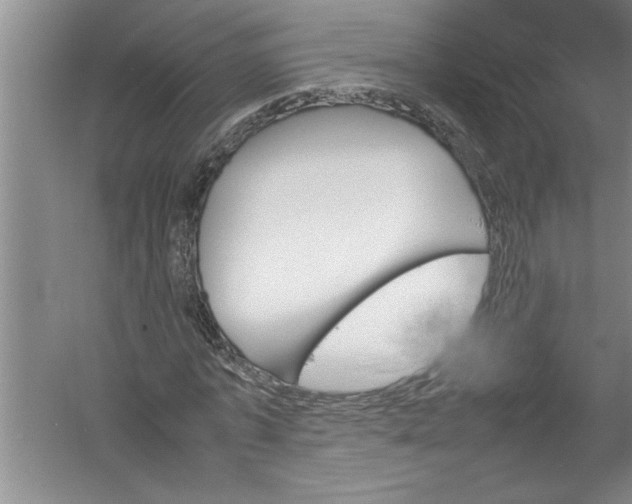 X0000054370773200508191845