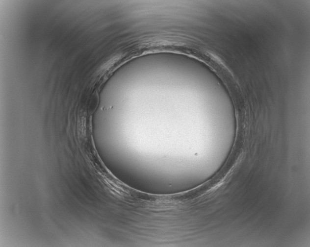 X0000054370777200508191845