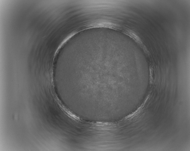 X0000054370780200508191845