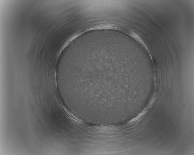 X0000054370781200508191845