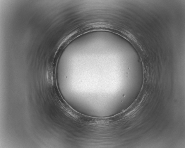 X0000054370782200508191845