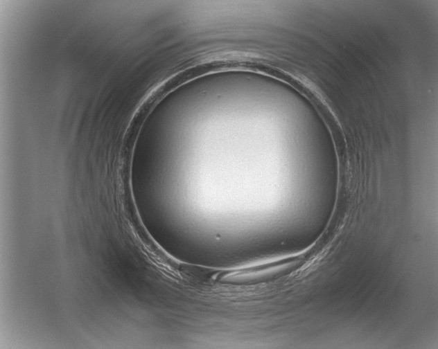 X0000054370783200508191845