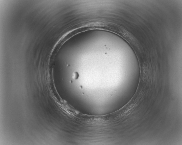 X0000054370784200508191845