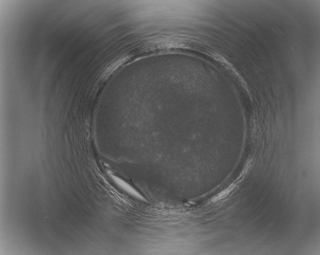 X0000054370785200508191845