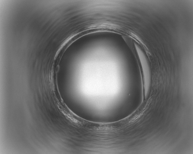 X0000054370788200508191845