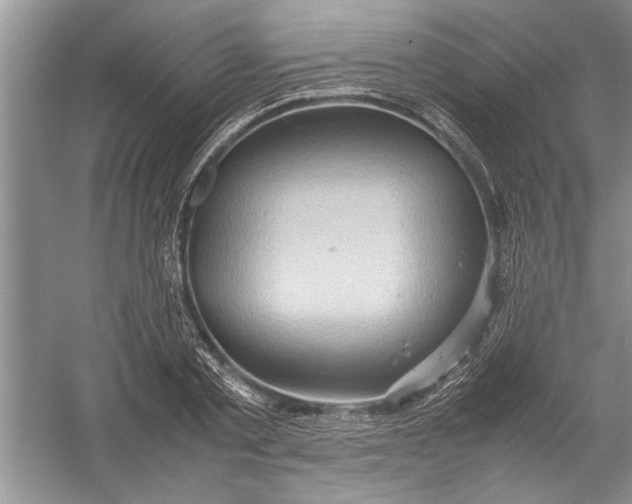 X0000054370789200508191845