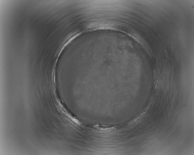 X0000054370790200508191845