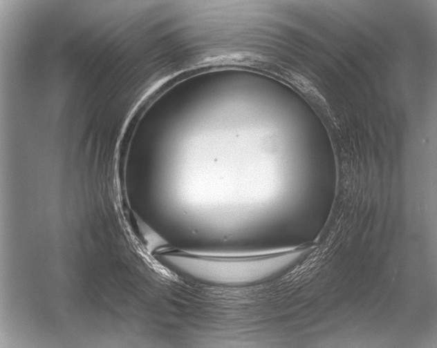 X0000054370792200508191845