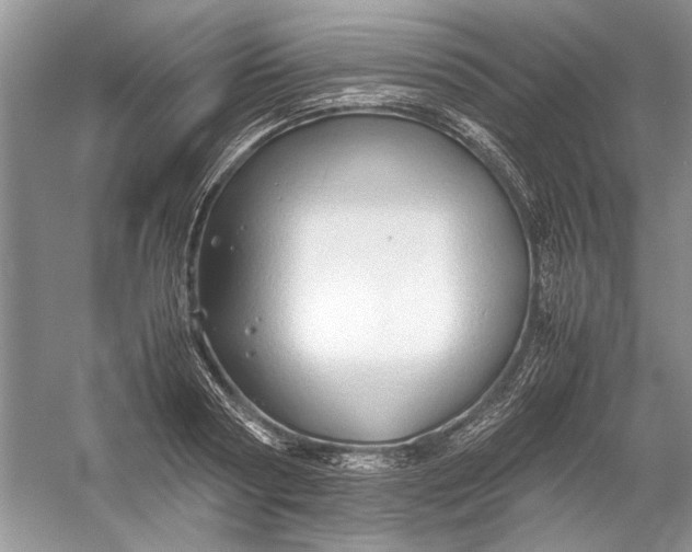 X0000054370794200508191845