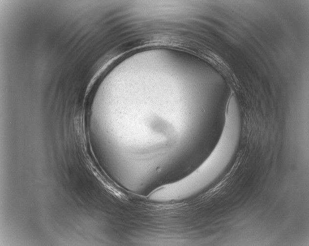 X0000054370796200508191845