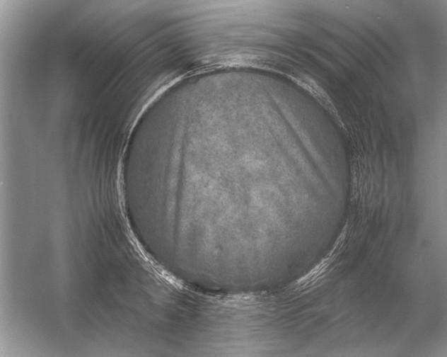 X0000054370798200508191845