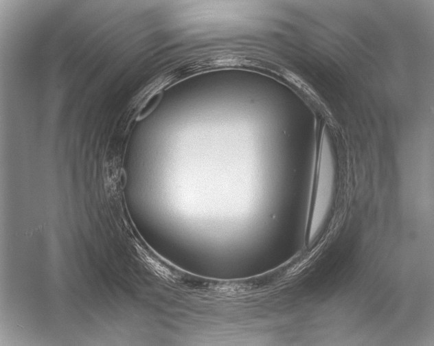 X0000054370801200508191845