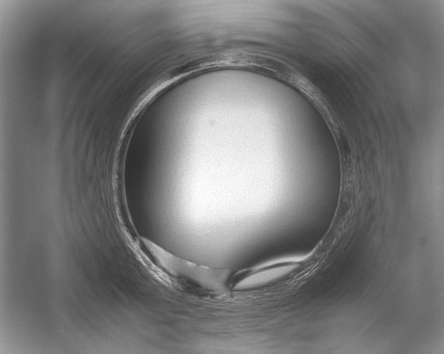 X0000054370803200508191845