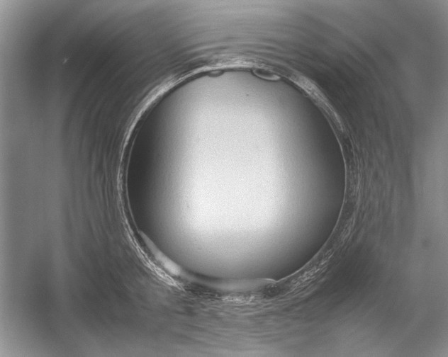 X0000054370805200508191845