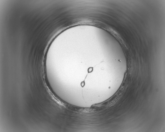 X0000054370808200508191845