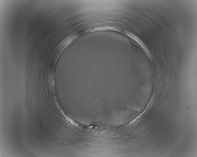 X0000054370809200508191845