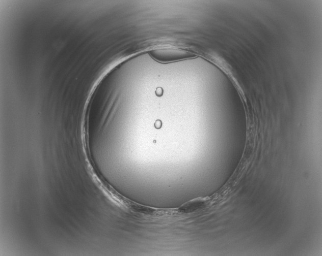 X0000054370811200508191845