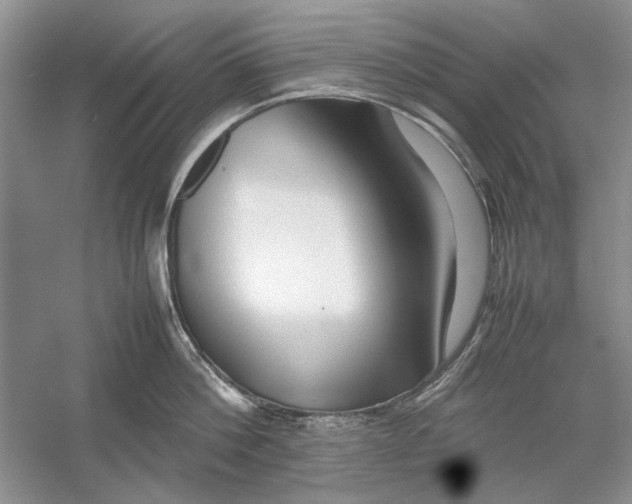 X0000054370812200508191845