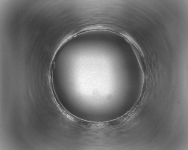 X0000054370813200508191845