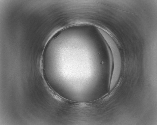 X0000054370814200508191845