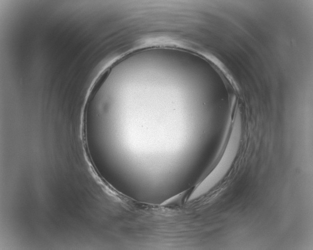 X0000054370815200508191845