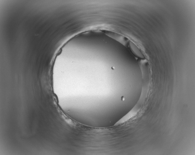 X0000054370816200508191845