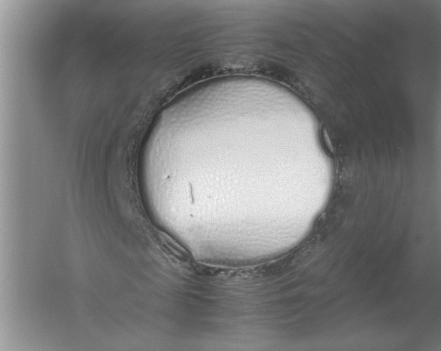 X0000054370817200508191844