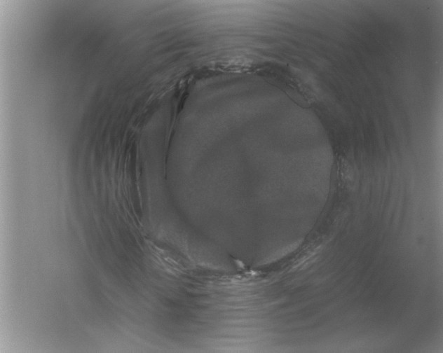 X0000054370818200508191844