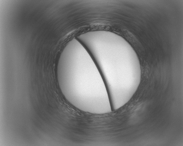 X0000054370821200508191844